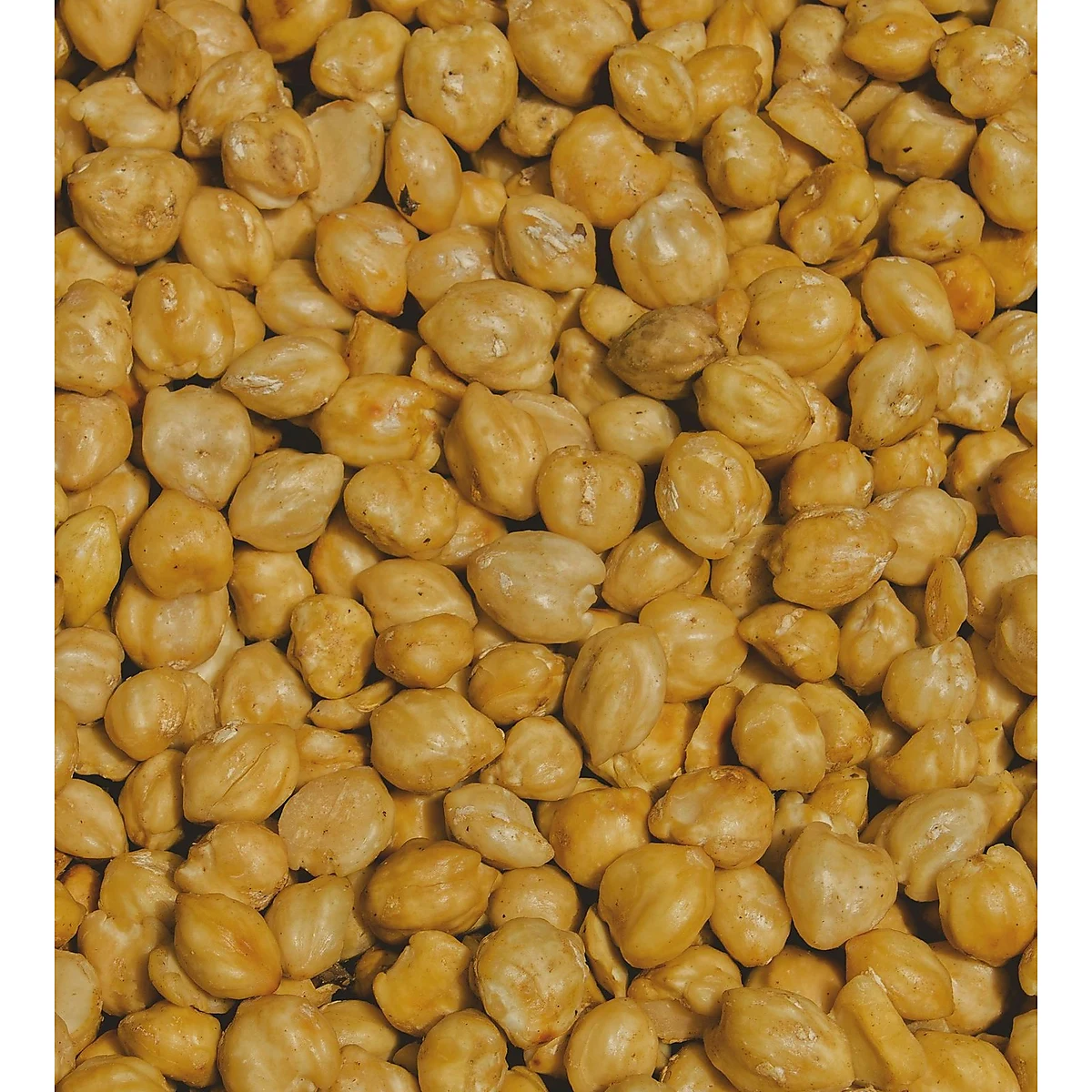 Sun-dried peeled candlenut kernels (kemiri putih) — Tasikmalaya