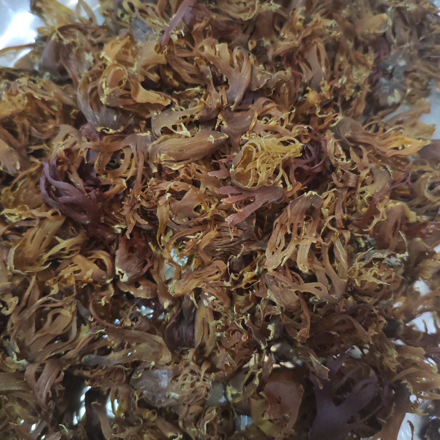 Organic Mace — Indonesian Fuli angle 2